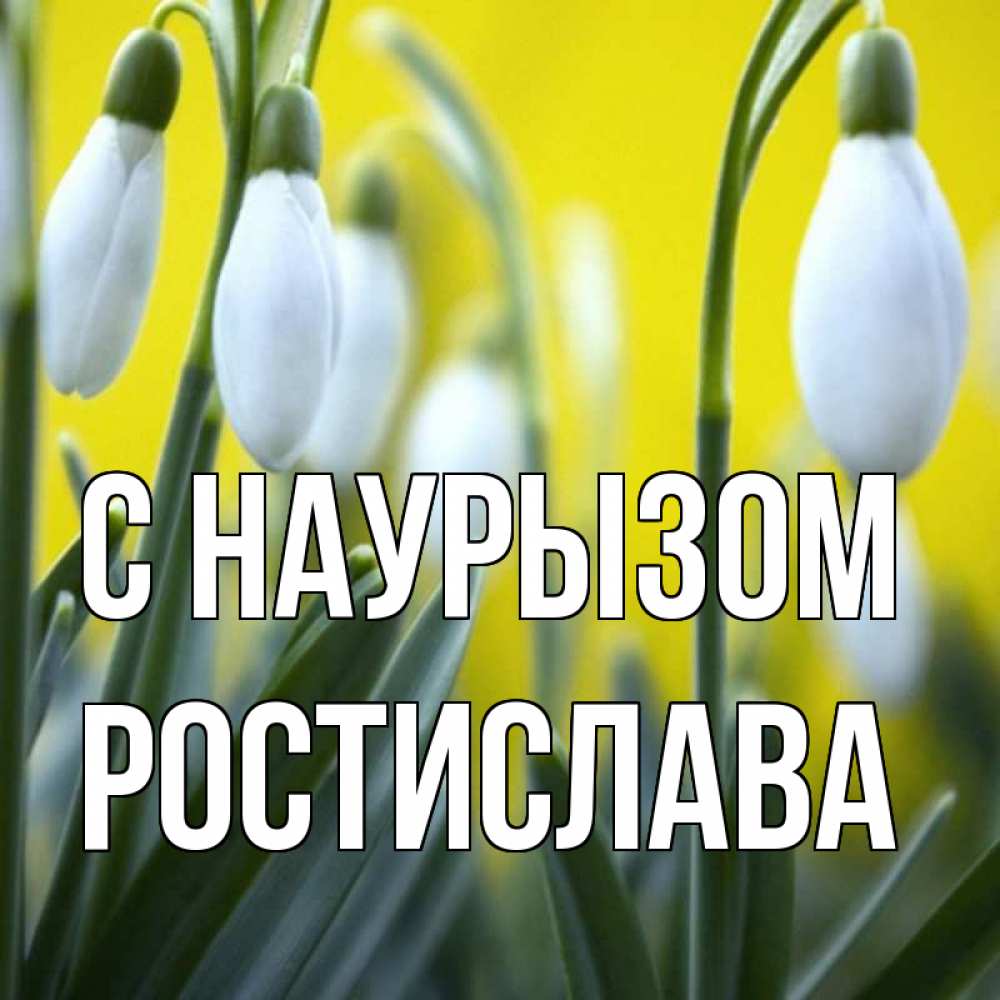 Открытка на каждый день с именем, Ростислава С наурызом весенние цветы Прикольная открытка с пожеланием онлайн скачать бесплатно 