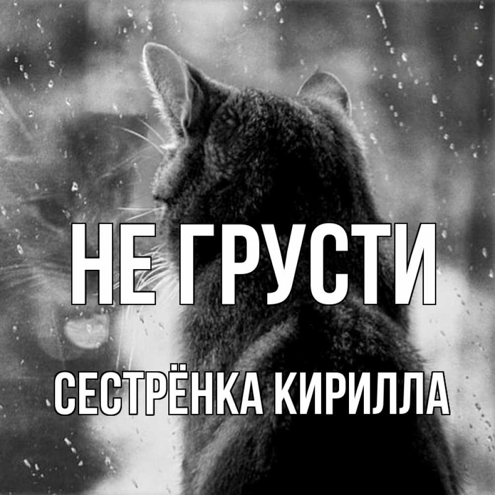 Открытка на каждый день с именем, Сестрёнка-Кирилла Не грусти отражение кота 1 Прикольная открытка с пожеланием онлайн скачать бесплатно 