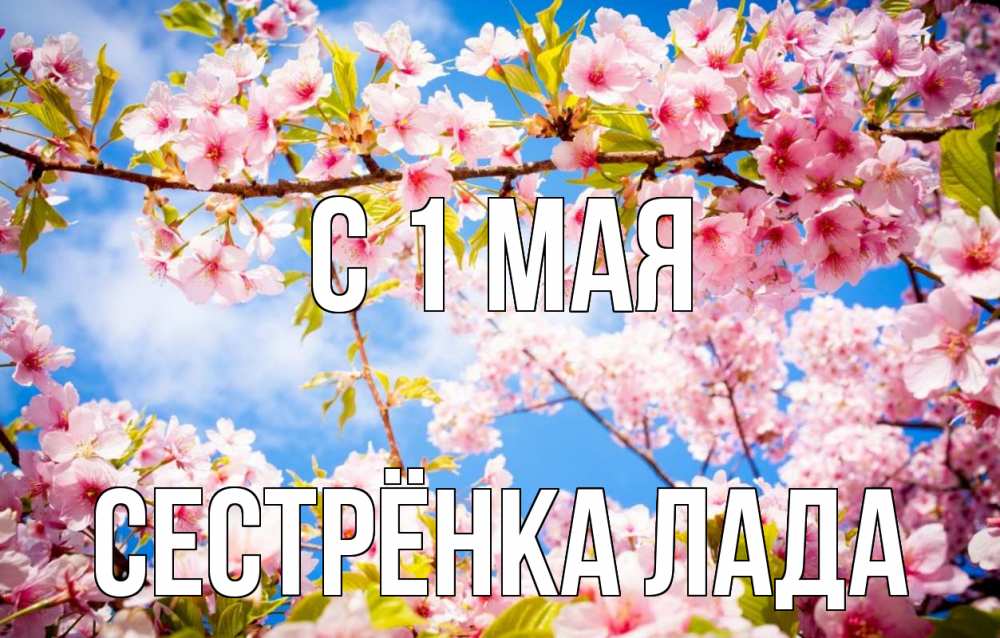 Открытка на каждый день с именем, Сестрёнка-Лада С 1 мая С 1 мая Прикольная открытка с пожеланием онлайн скачать бесплатно 