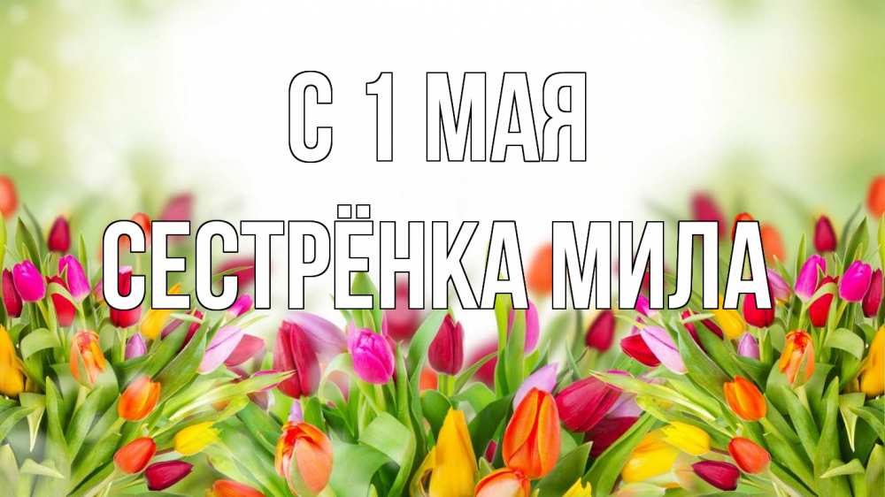 Открытка на каждый день с именем, Сестрёнка-Мила С 1 мая С 1 мая Прикольная открытка с пожеланием онлайн скачать бесплатно 