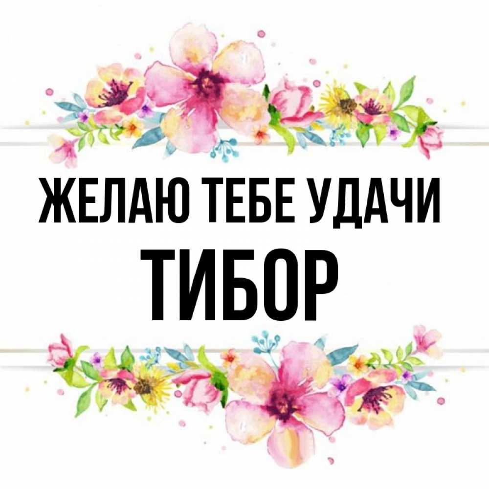 Открытка на каждый день с именем, Тибор Желаю тебе удачи пусть повезет 1 Прикольная открытка с пожеланием онлайн скачать бесплатно 