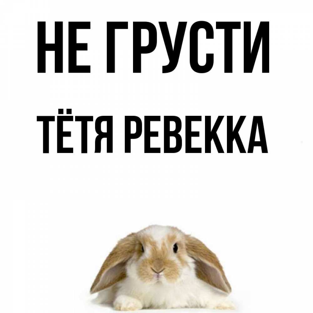 Открытка на каждый день с именем, Тётя-Ревекка Не грусти коричнево белый заяц с большими ушками Прикольная открытка с пожеланием онлайн скачать бесплатно 
