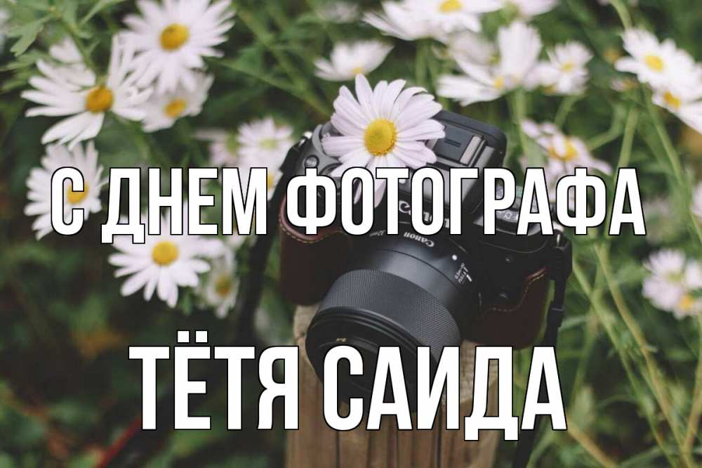 Открытка на каждый день с именем, Тётя-Саида С днем фотографа с днем фотографа Прикольная открытка с пожеланием онлайн скачать бесплатно 