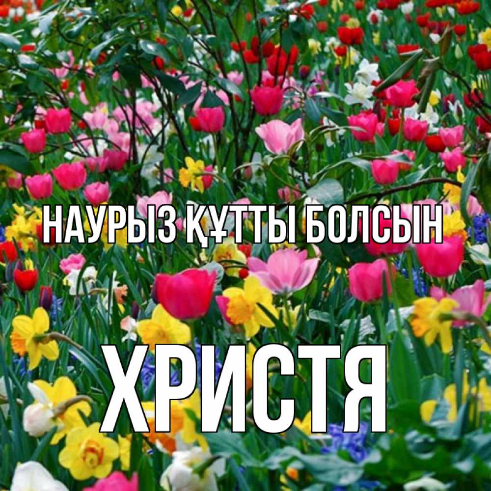 Открытка на каждый день с именем, Христя Наурыз құтты болсын с наурызом поздравления для женщины Прикольная открытка с пожеланием онлайн скачать бесплатно 