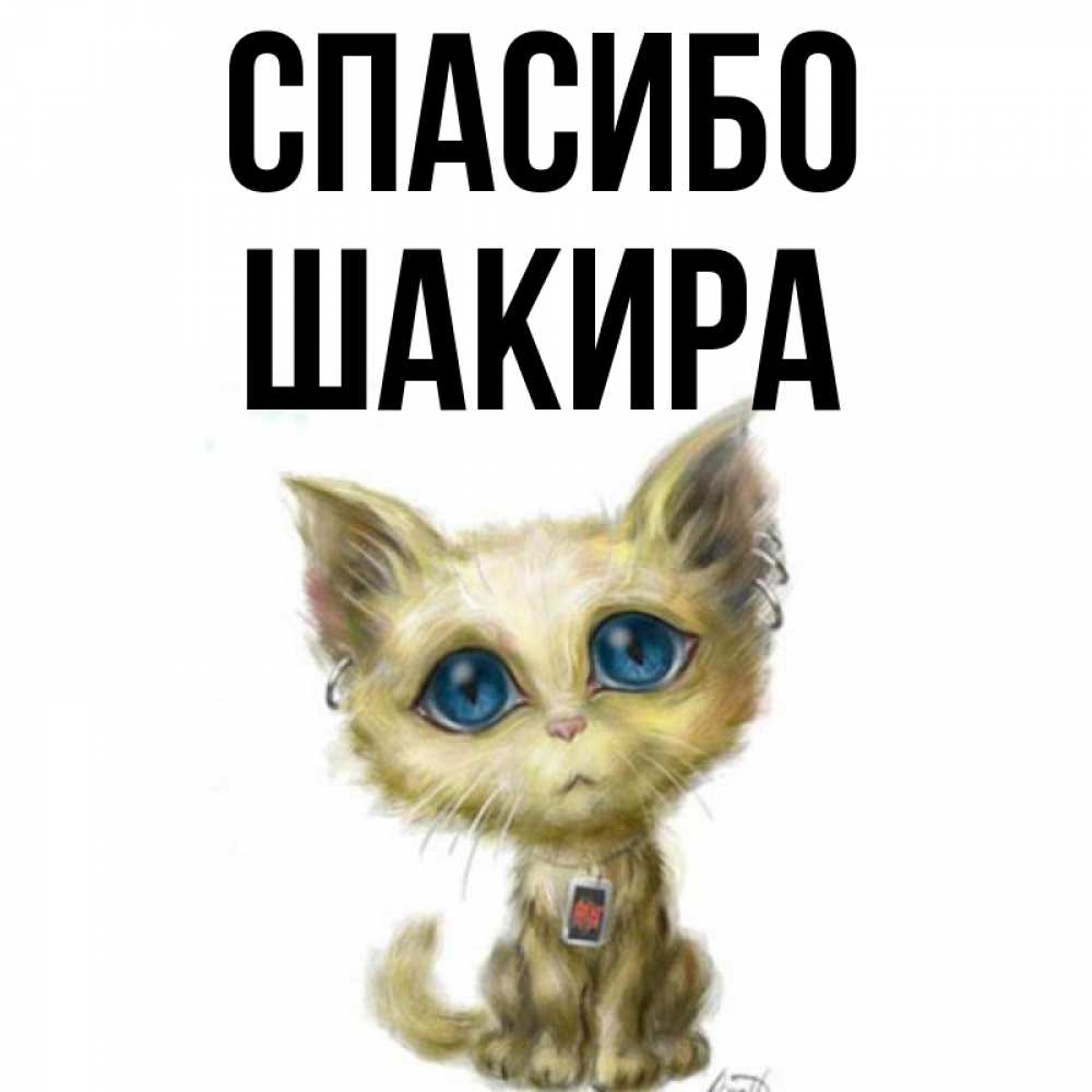 Открытка на каждый день с именем, Шакира Спасибо рисованный кот благодарит вас Прикольная открытка с пожеланием онлайн скачать бесплатно 