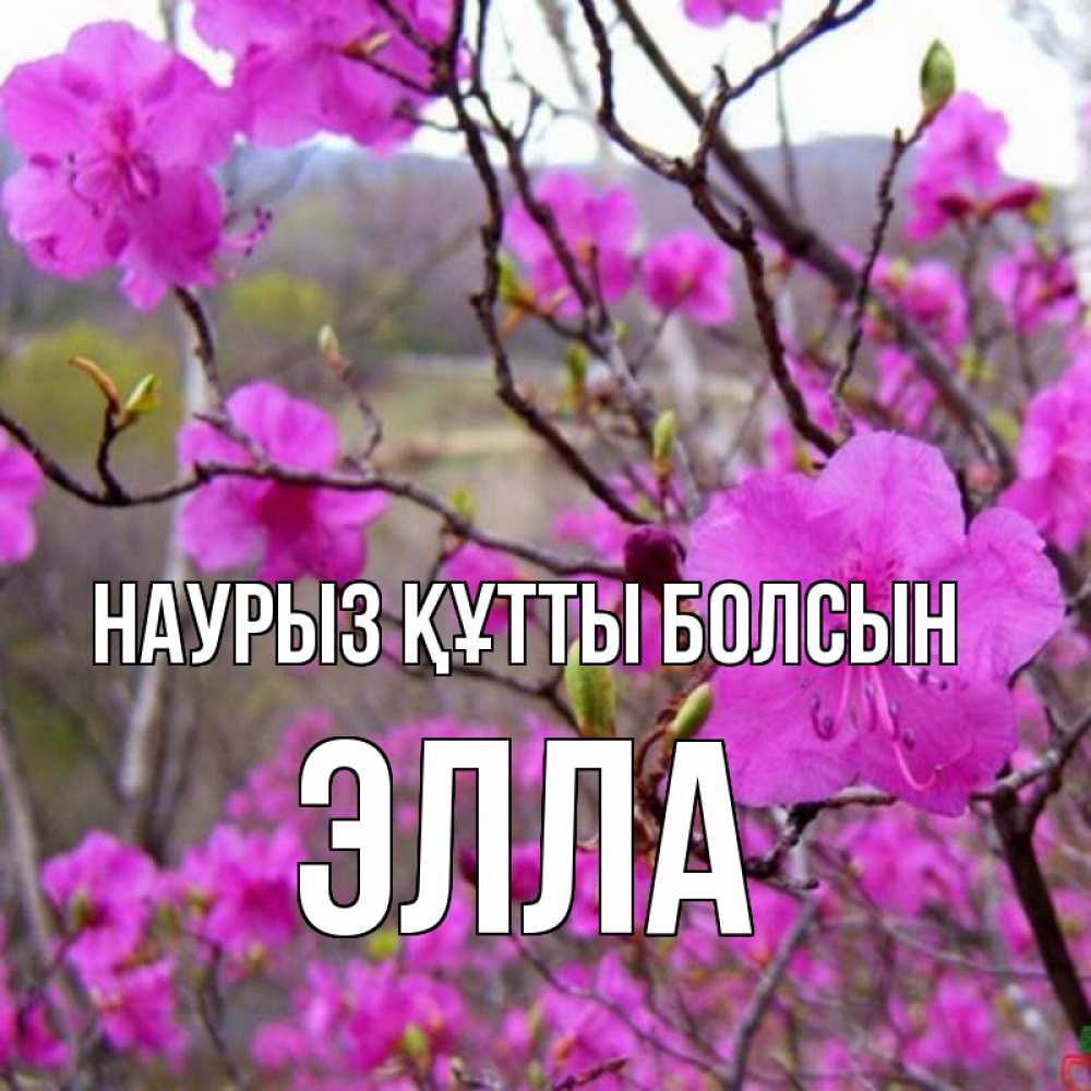 Открытка на каждый день с именем, Элла Наурыз құтты болсын наурыз мейрамы кутты болсын Прикольная открытка с пожеланием онлайн скачать бесплатно 