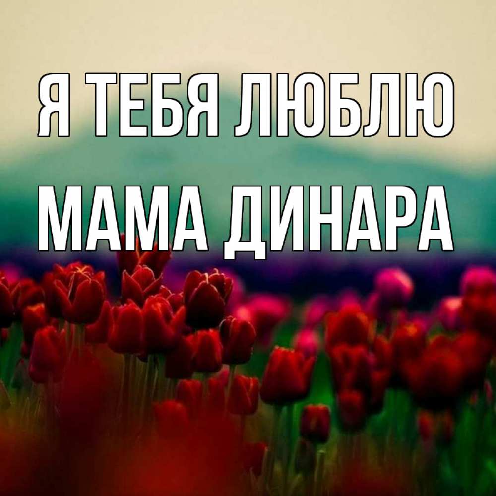 Открытка на каждый день с именем, Мама-Динара Я тебя люблю тюльпаны 4 Прикольная открытка с пожеланием онлайн скачать бесплатно 