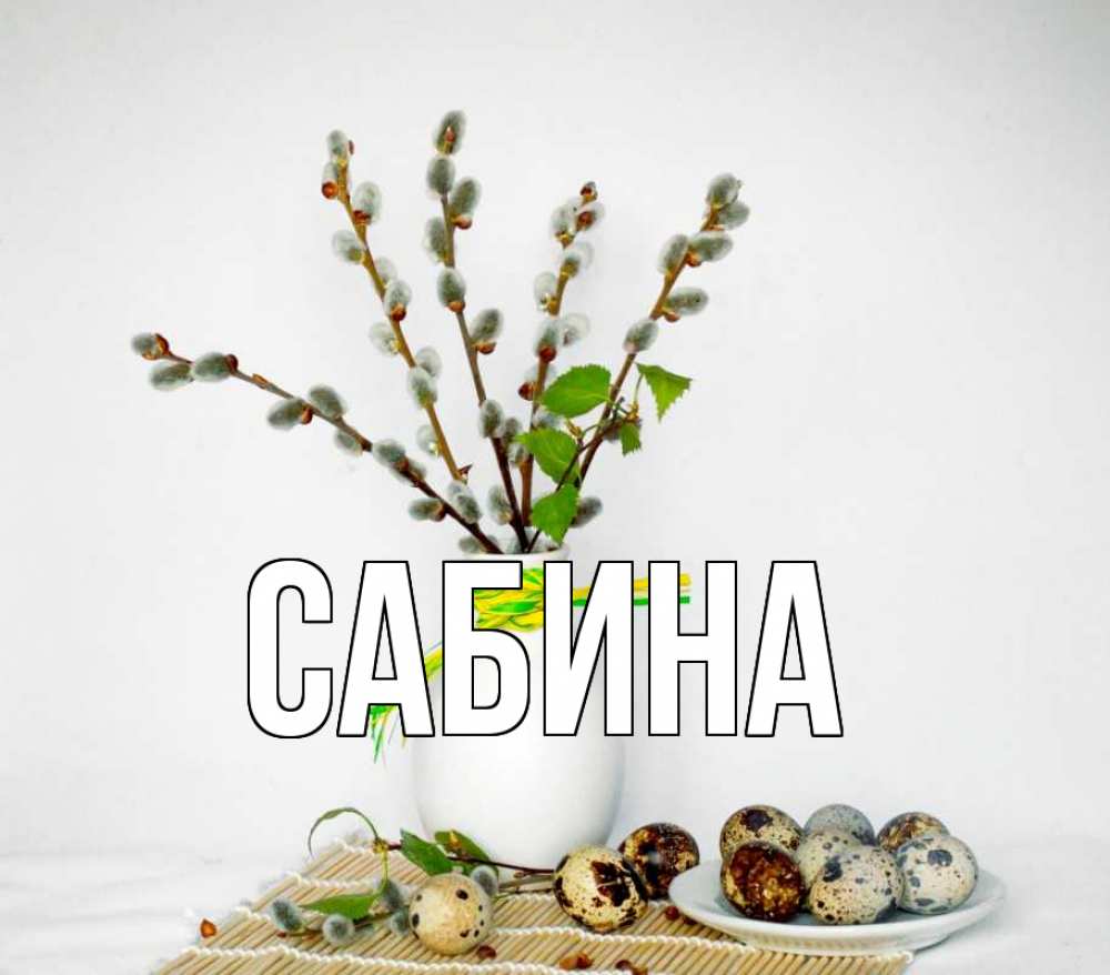 Открытка на каждый день с именем, Сабина Главная верба Прикольная открытка с пожеланием онлайн скачать бесплатно 