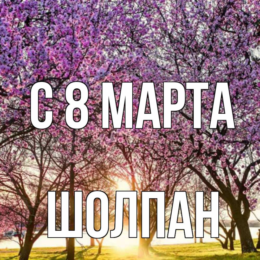 Открытка на каждый день с именем, Шолпан С 8 МАРТА международный женский день Прикольная открытка с пожеланием онлайн скачать бесплатно 