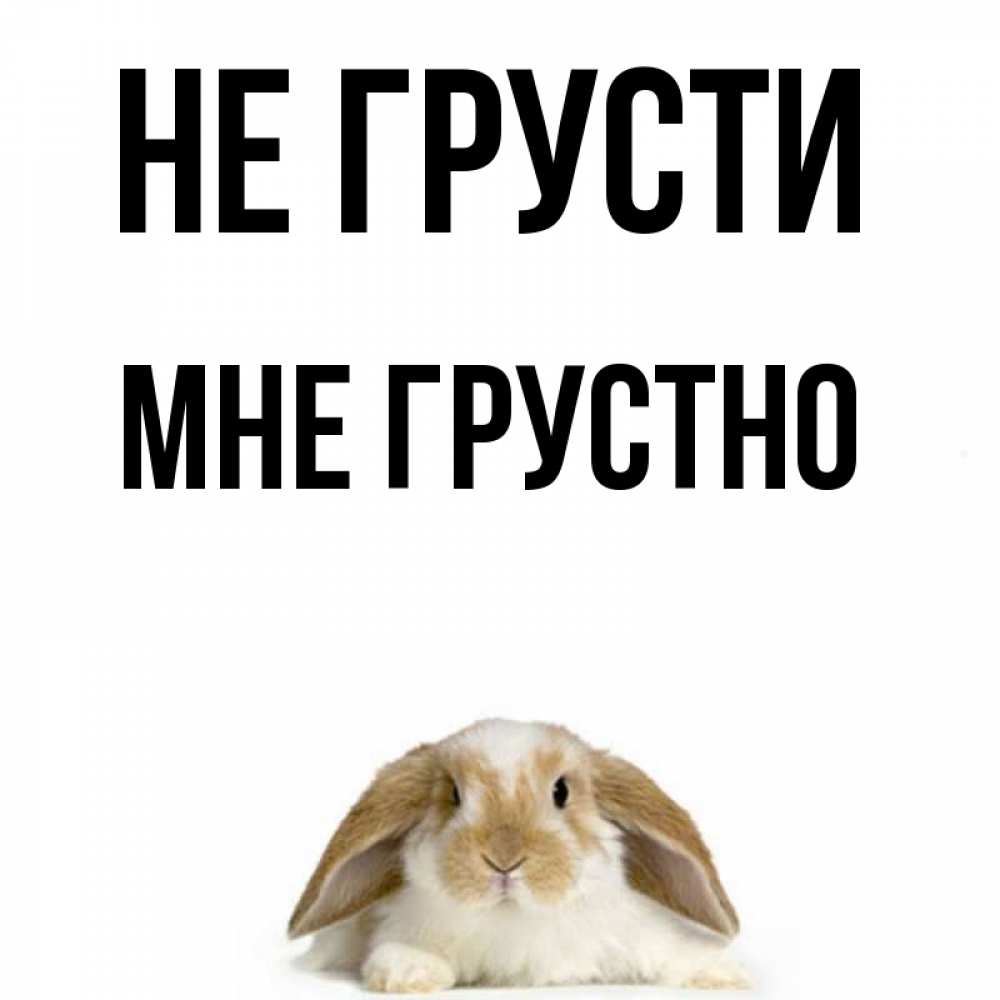 Открытка на каждый день с именем, Мне-грустно Не грусти коричнево белый заяц с большими ушками Прикольная открытка с пожеланием онлайн скачать бесплатно 