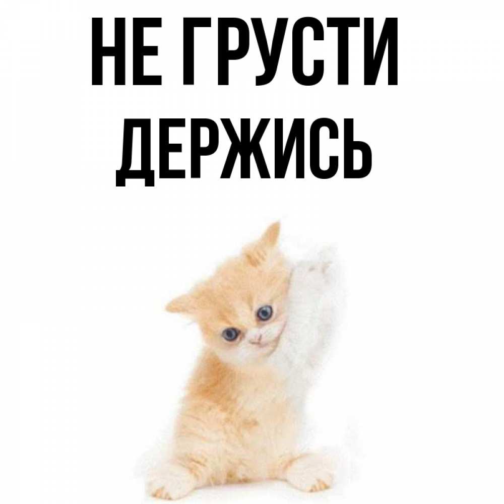 Картинки не грусти родной улыбнись, ночи