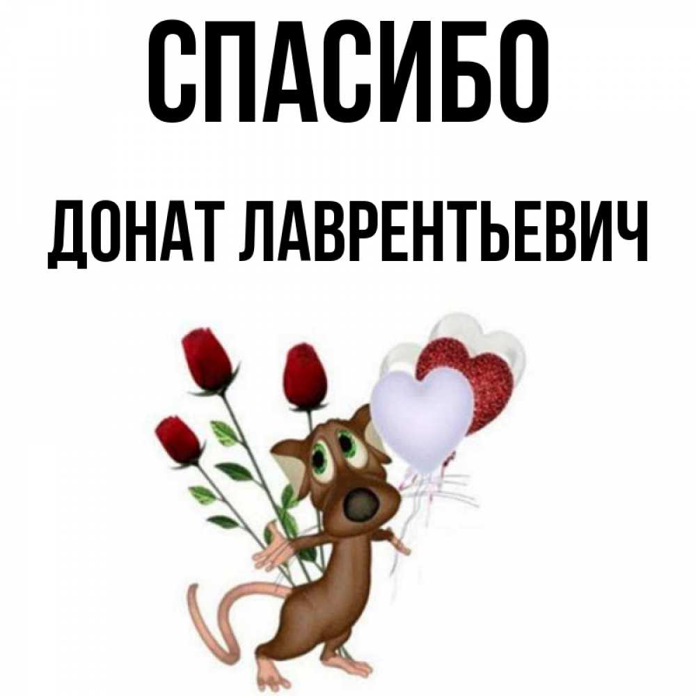 Спасибо за донат. Спасибо за донат