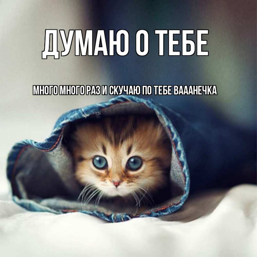 скучаю и удачного дня открытка получить минусов