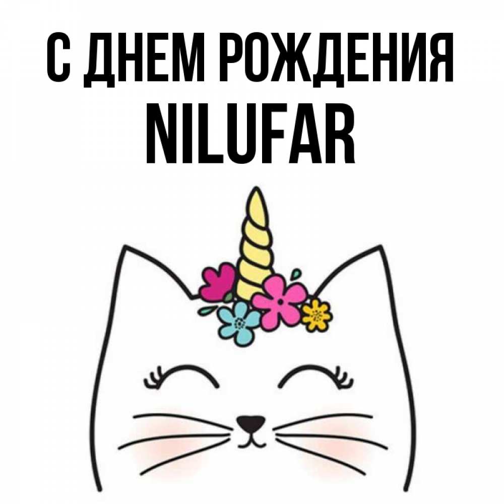 Нилуфар С Днем Рождения
