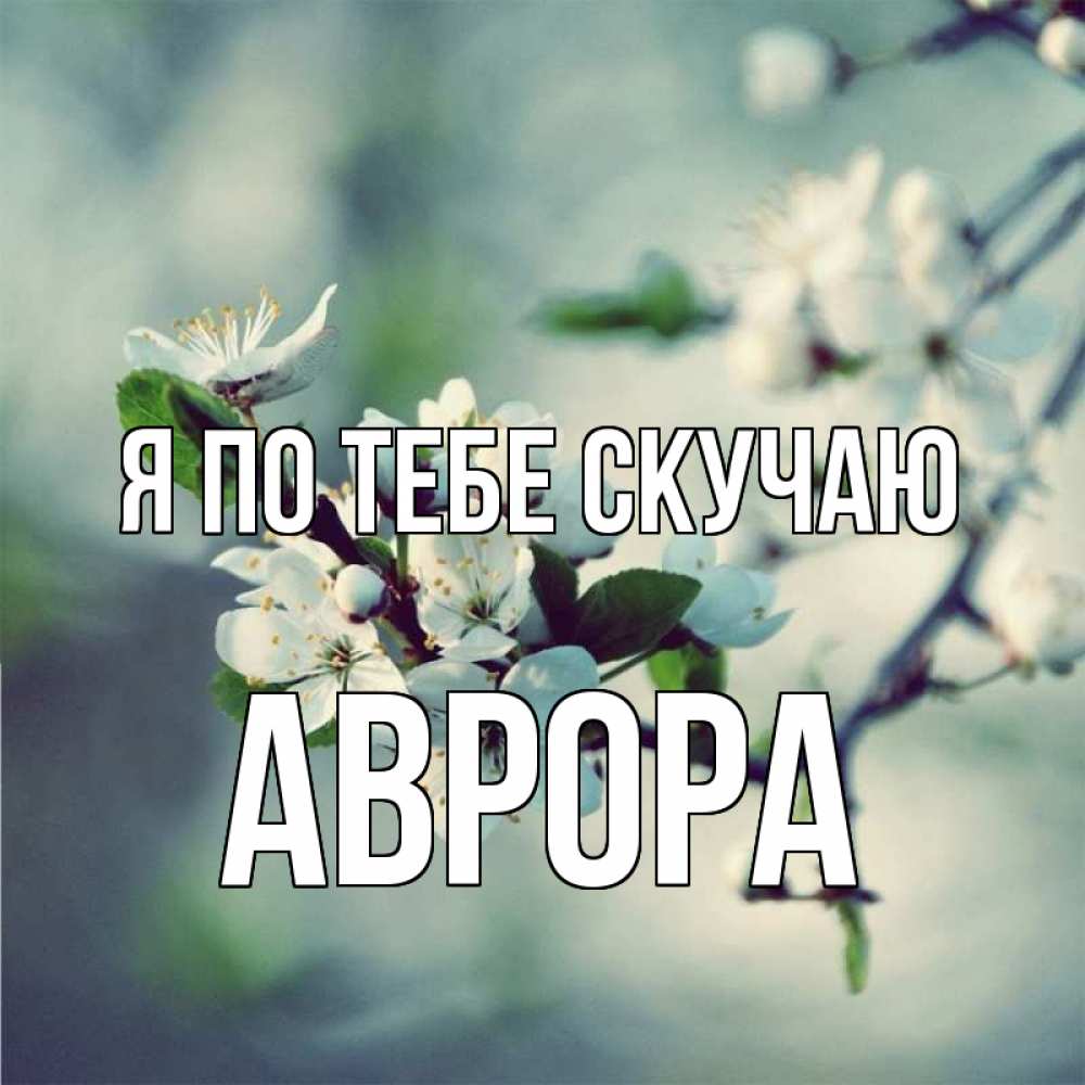 Открытка на каждый день с именем, Аврора Я по тебе скучаю весна Прикольная открытка с пожеланием онлайн скачать бесплатно 