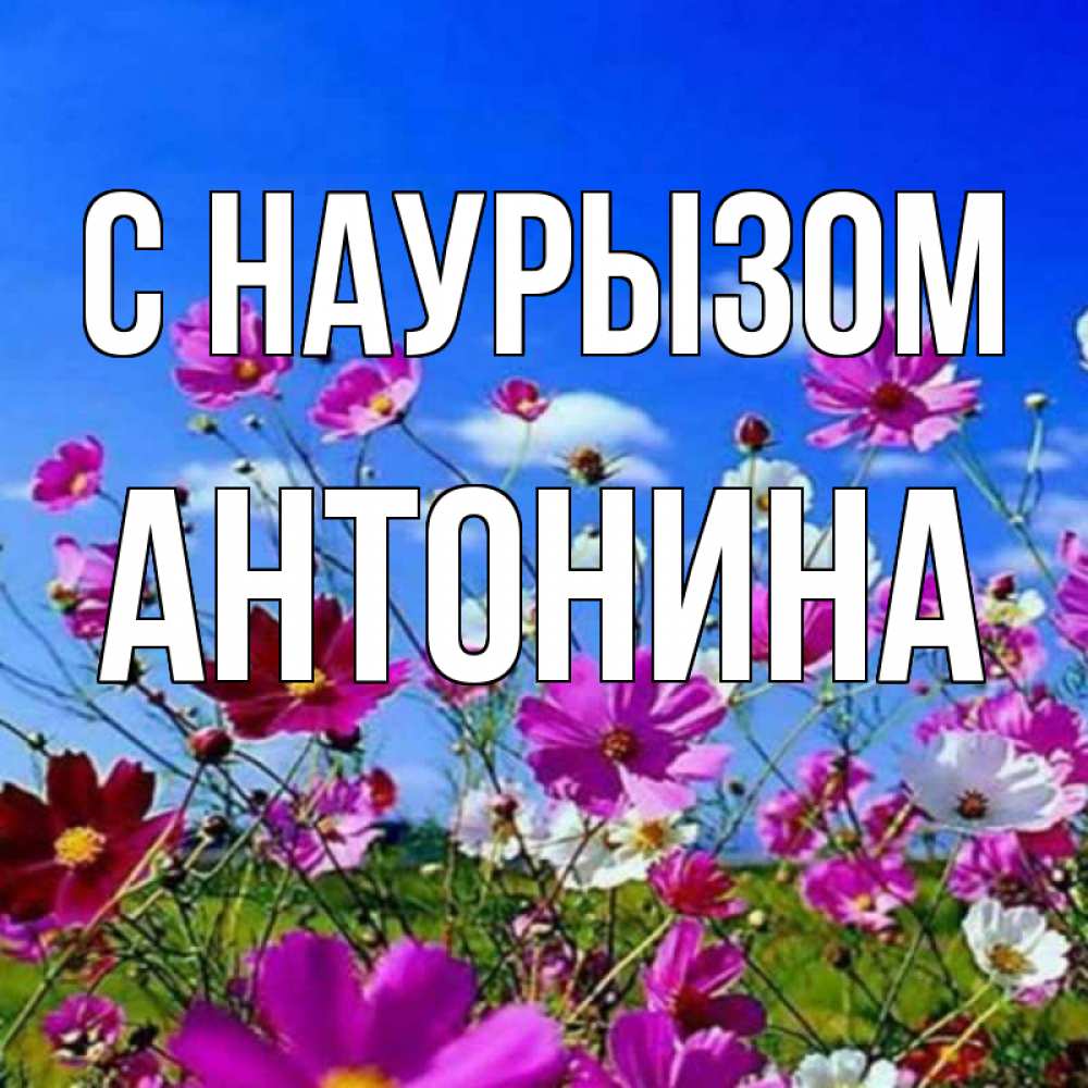 Открытка на каждый день с именем, Антонина С наурызом цветы Прикольная открытка с пожеланием онлайн скачать бесплатно 