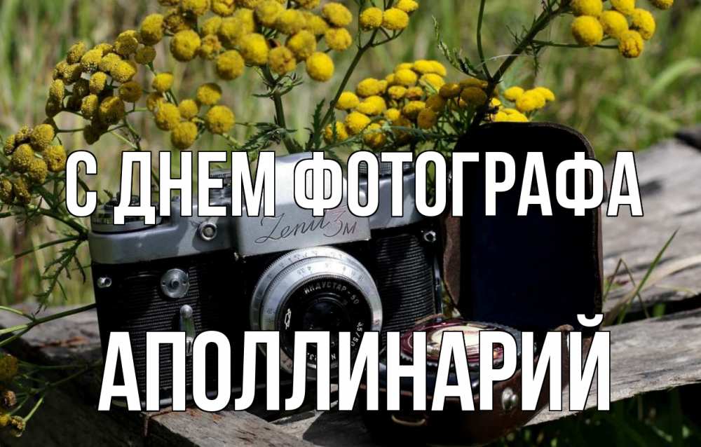 Открытка на каждый день с именем, Аполлинарий С днем фотографа с днем фотографа Прикольная открытка с пожеланием онлайн скачать бесплатно 