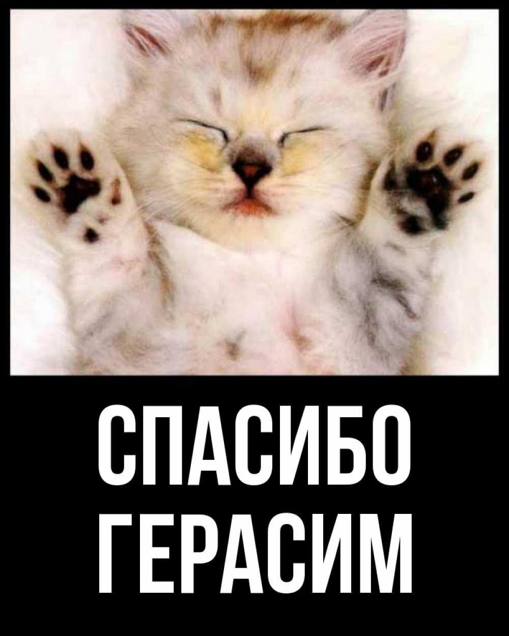 Открытка на каждый день с именем, Герасим Спасибо маленький котенок Прикольная открытка с пожеланием онлайн скачать бесплатно 