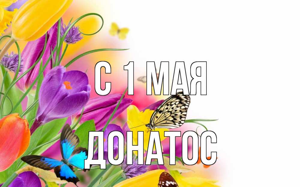 Открытка на каждый день с именем, Донатос С 1 мая С 1 мая Прикольная открытка с пожеланием онлайн скачать бесплатно 
