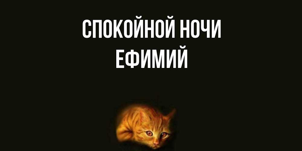 Открытка на каждый день с именем, Ефимий Спокойной ночи кот Прикольная открытка с пожеланием онлайн скачать бесплатно 