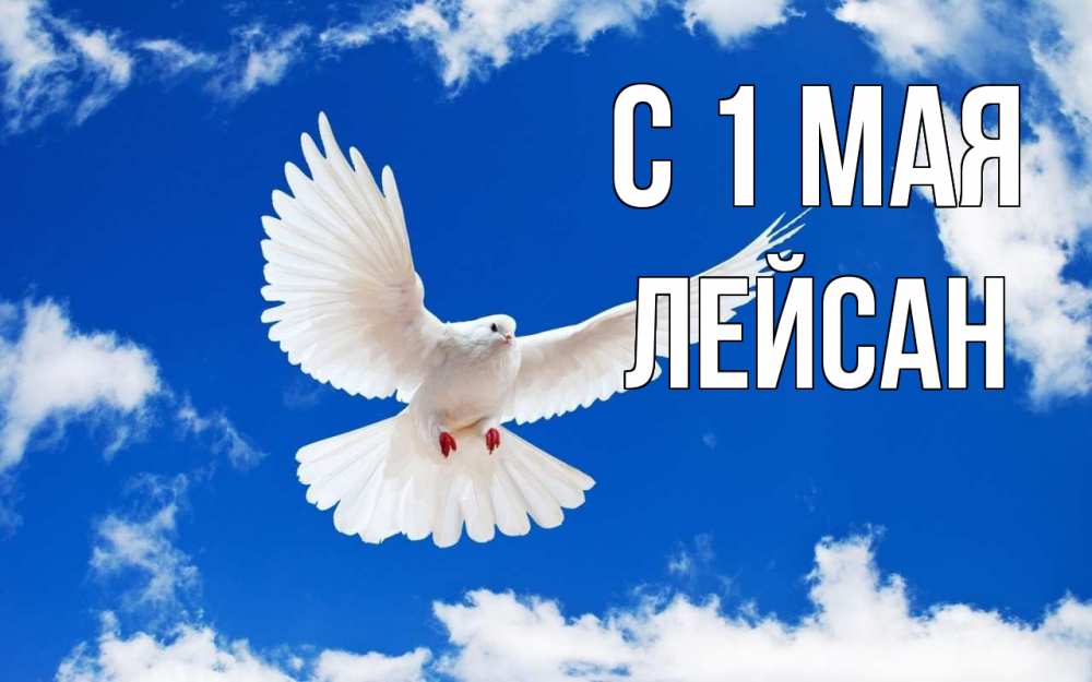Открытка на каждый день с именем, Лейсан С 1 мая С 1 мая 1 Прикольная открытка с пожеланием онлайн скачать бесплатно 