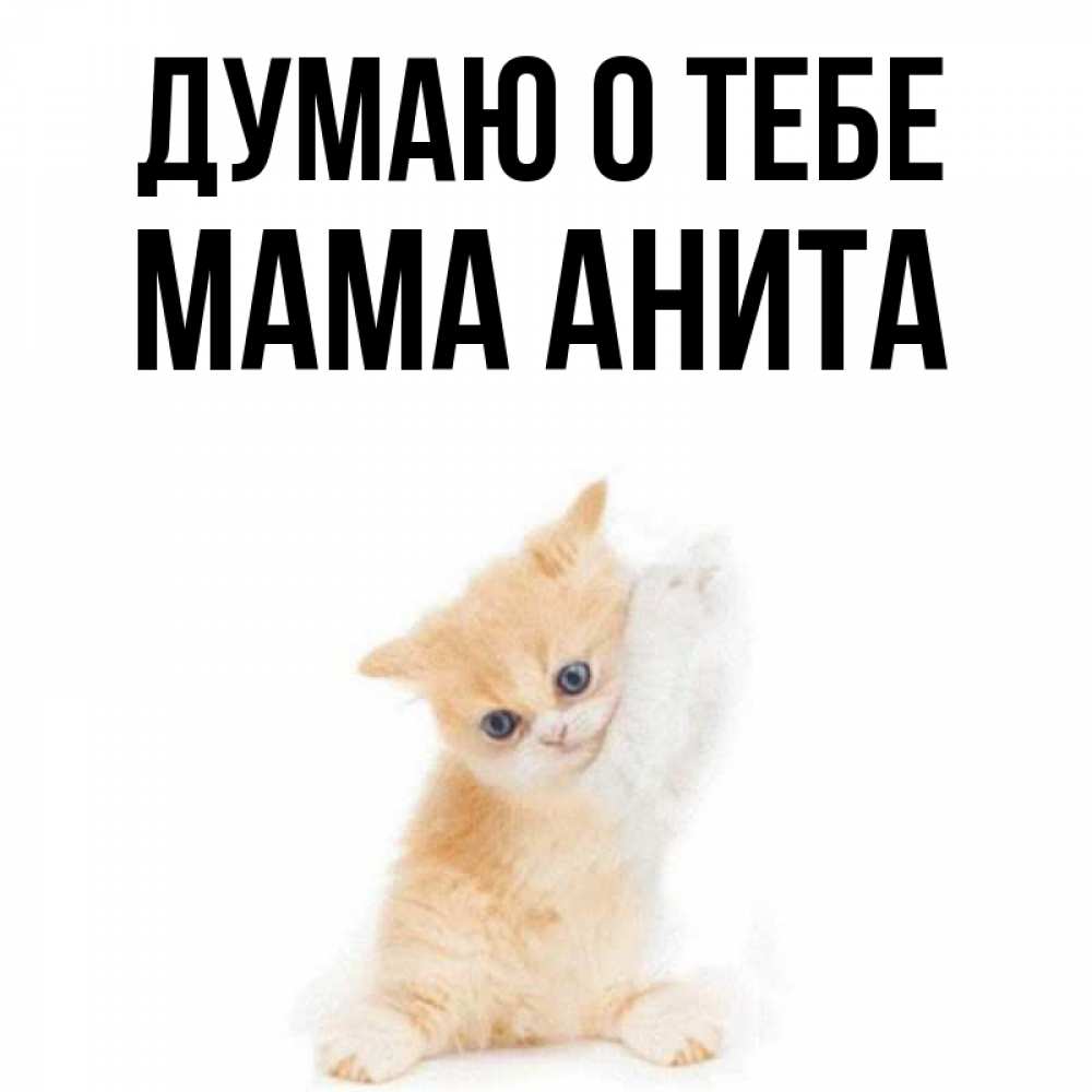 Открытка на каждый день с именем, Мама-Анита Думаю о тебе зверушки и милота Прикольная открытка с пожеланием онлайн скачать бесплатно 