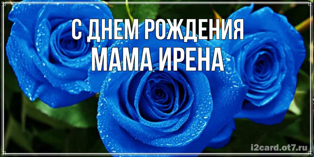 Открытка на каждый день с именем, Мама-Ирена С днем рождения розы с синим цветом Прикольная открытка с пожеланием онлайн скачать бесплатно 