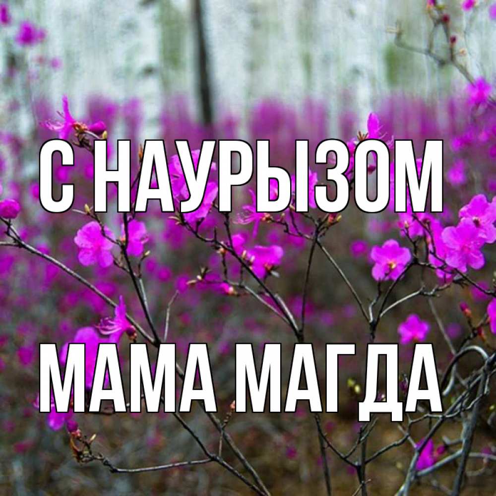 Открытка на каждый день с именем, Мама-Магда С наурызом дикие цветы Прикольная открытка с пожеланием онлайн скачать бесплатно 