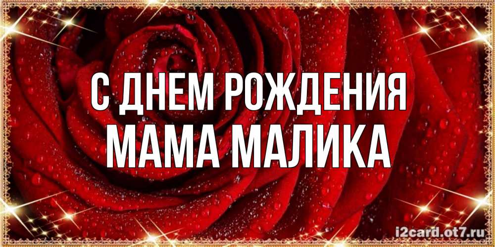 Открытка на каждый день с именем, Мама-Малика С днем рождения роса на розе блестящая в лучах солнца Прикольная открытка с пожеланием онлайн скачать бесплатно 