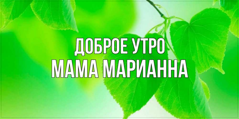 Открытка на каждый день с именем, Мама-Марианна Доброе утро доброе утро с березовыми листьями Прикольная открытка с пожеланием онлайн скачать бесплатно 