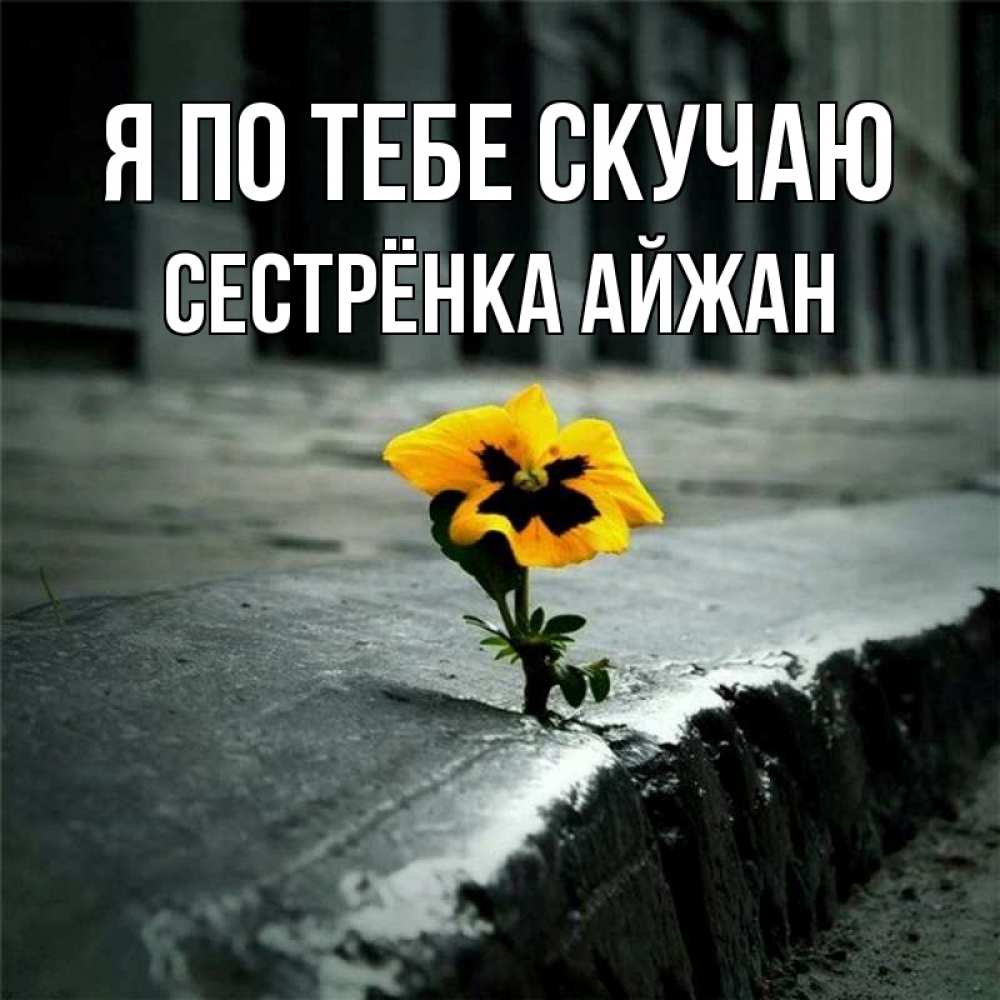 Открытка на каждый день с именем, Сестрёнка-Айжан Я по тебе скучаю надеюсь будет лучше Прикольная открытка с пожеланием онлайн скачать бесплатно 