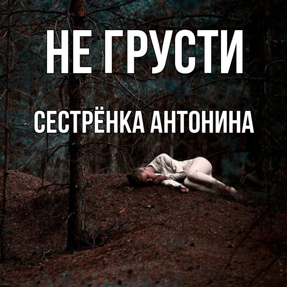Открытка на каждый день с именем, Сестрёнка-Антонина Не грусти лес Прикольная открытка с пожеланием онлайн скачать бесплатно 