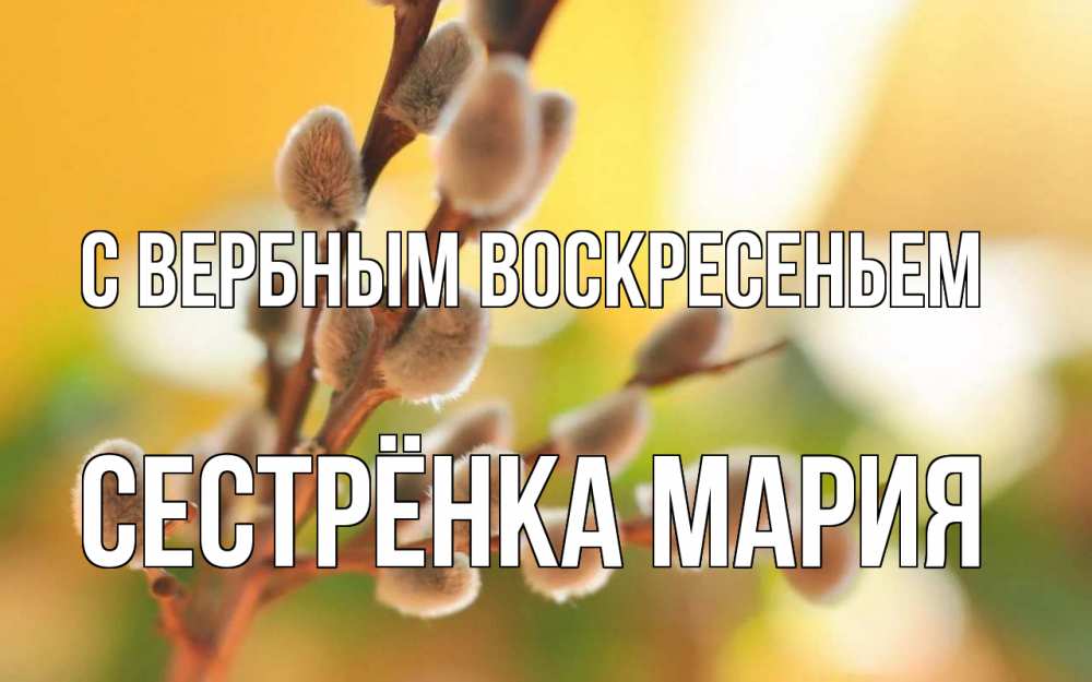 Открытка на каждый день с именем, Сестрёнка-Мария С вербным воскресеньем верба Прикольная открытка с пожеланием онлайн скачать бесплатно 