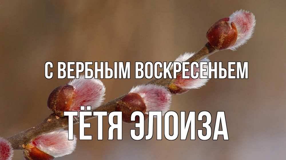 Открытка на каждый день с именем, Тётя-Элоиза С вербным воскресеньем верба Прикольная открытка с пожеланием онлайн скачать бесплатно 