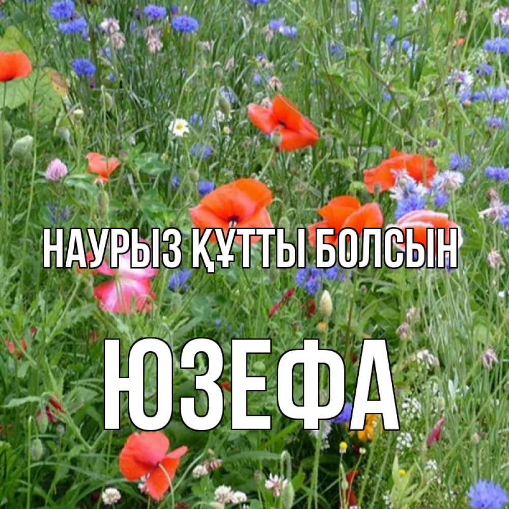 Открытка на каждый день с именем, Юзефа Наурыз құтты болсын наурыз  4 Прикольная открытка с пожеланием онлайн скачать бесплатно 