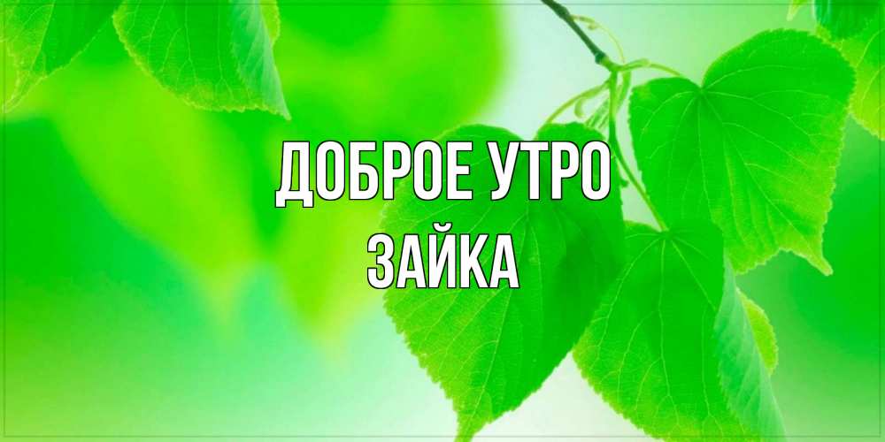 Открытка на каждый день с именем, зайка Доброе утро доброе утро с березовыми листьями Прикольная открытка с пожеланием онлайн скачать бесплатно 