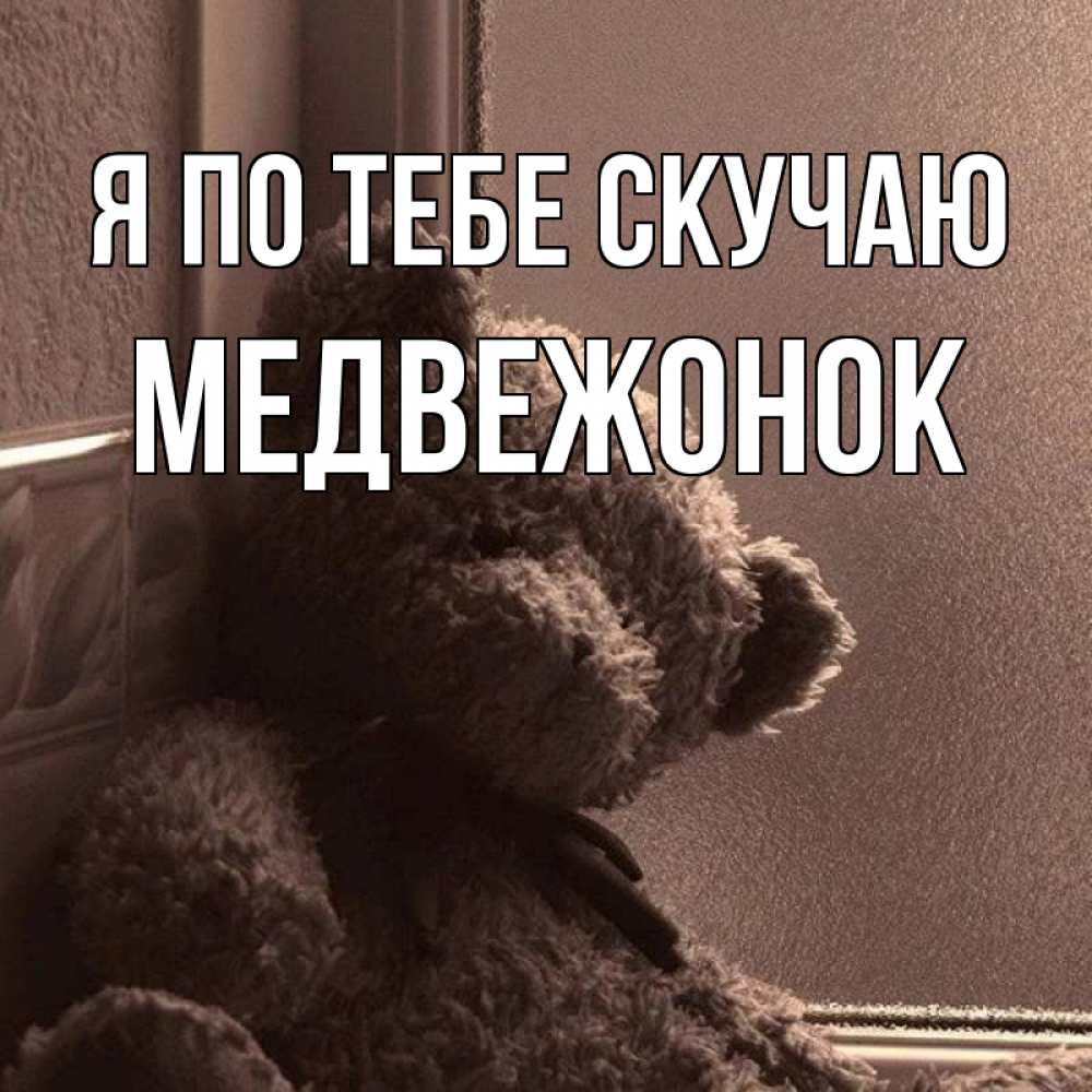 Медведь Скучает Фото