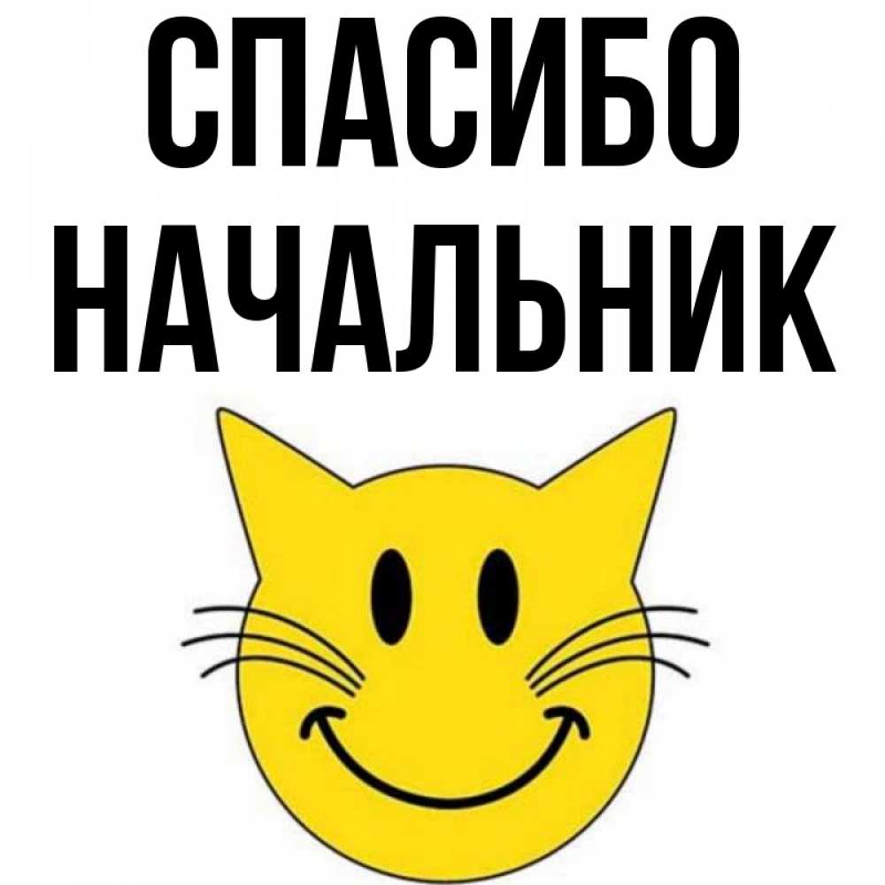 Спасибо босс картинки