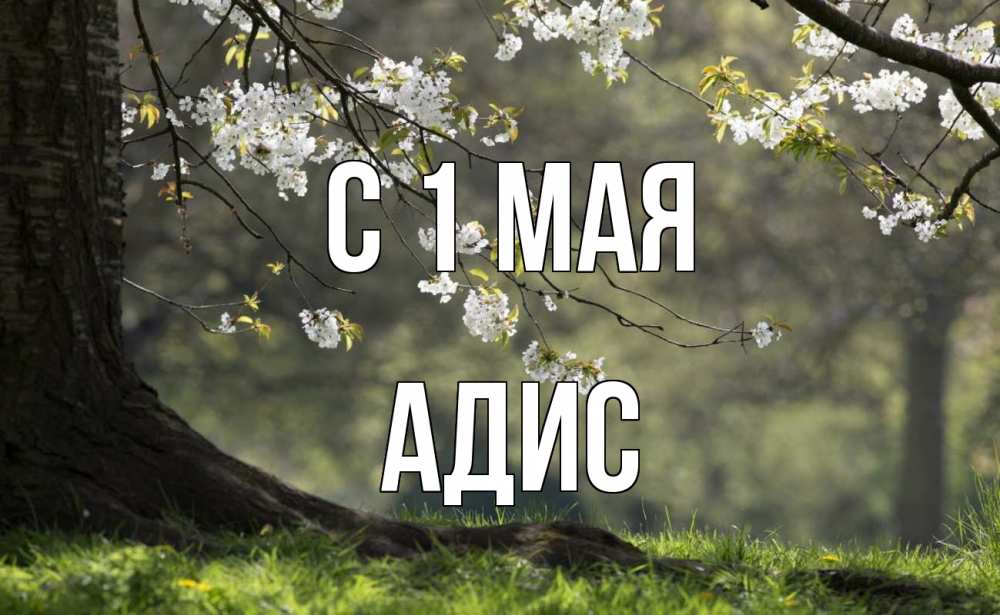 Открытка на каждый день с именем, Адис С 1 мая С 1 мая Прикольная открытка с пожеланием онлайн скачать бесплатно 