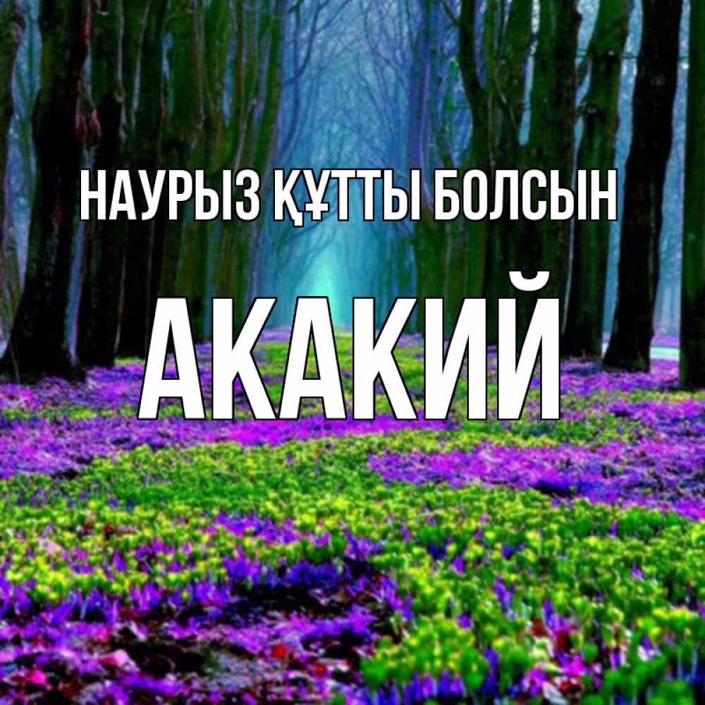 Открытка на каждый день с именем, Акакий Наурыз құтты болсын фиолетовые цветы в лесу 1 Прикольная открытка с пожеланием онлайн скачать бесплатно 
