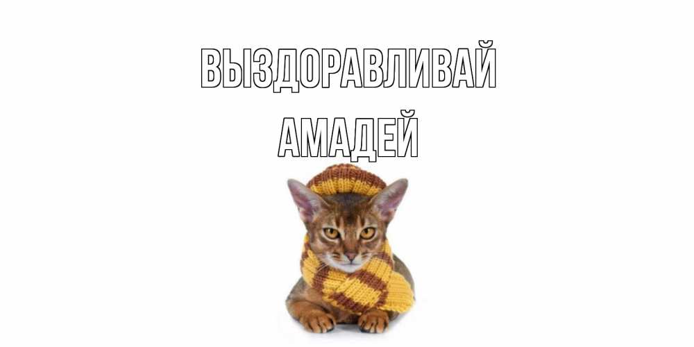 Открытка на каждый день с именем, Амадей Выздоравливай родные не болейте Прикольная открытка с пожеланием онлайн скачать бесплатно 