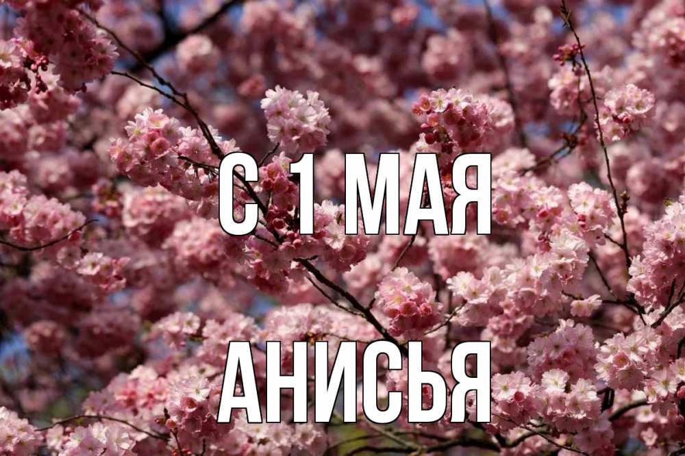 Открытка на каждый день с именем, Анисья С 1 мая С 1 мая Прикольная открытка с пожеланием онлайн скачать бесплатно 