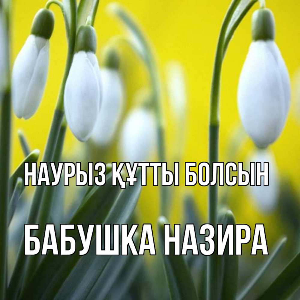 Открытка на каждый день с именем, Бабушка-Назира Наурыз құтты болсын весенние цветы Прикольная открытка с пожеланием онлайн скачать бесплатно 