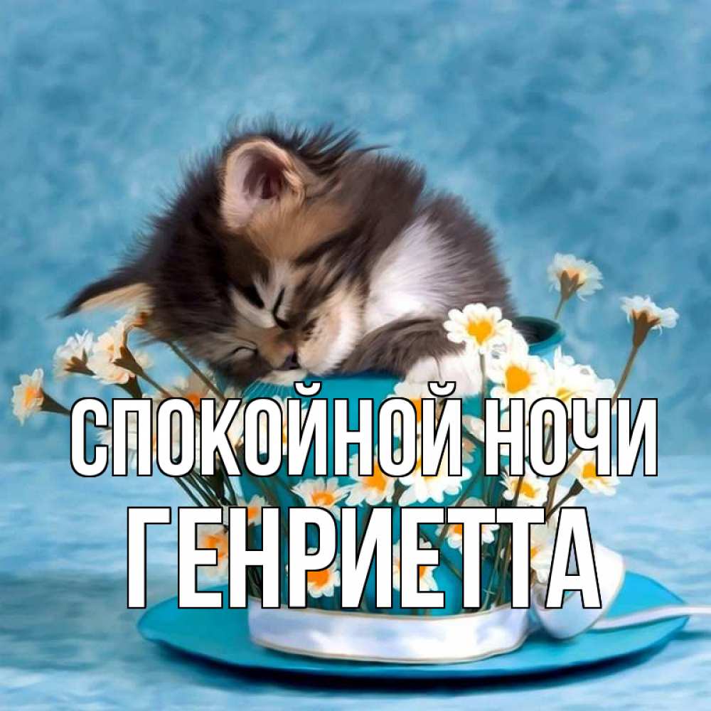 Открытка на каждый день с именем, Генриетта Спокойной ночи котенок спит в кружке с блюдцем Прикольная открытка с пожеланием онлайн скачать бесплатно 