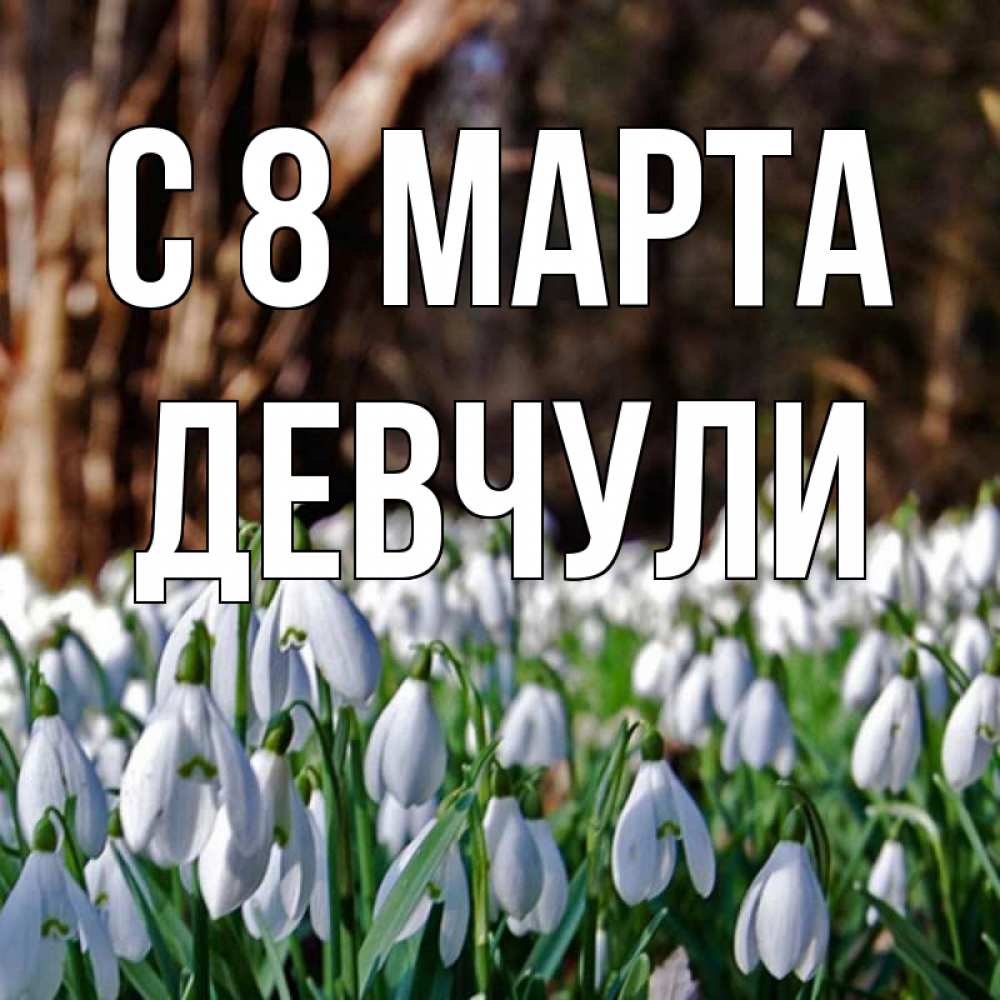 Открытка на каждый день с именем, Девчули С 8 марта с подснежниками 1 Прикольная открытка с пожеланием онлайн скачать бесплатно 