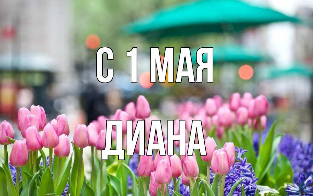 Открытка на каждый день с именем, Диана С 1 мая С 1 мая Прикольная открытка с пожеланием онлайн скачать бесплатно 