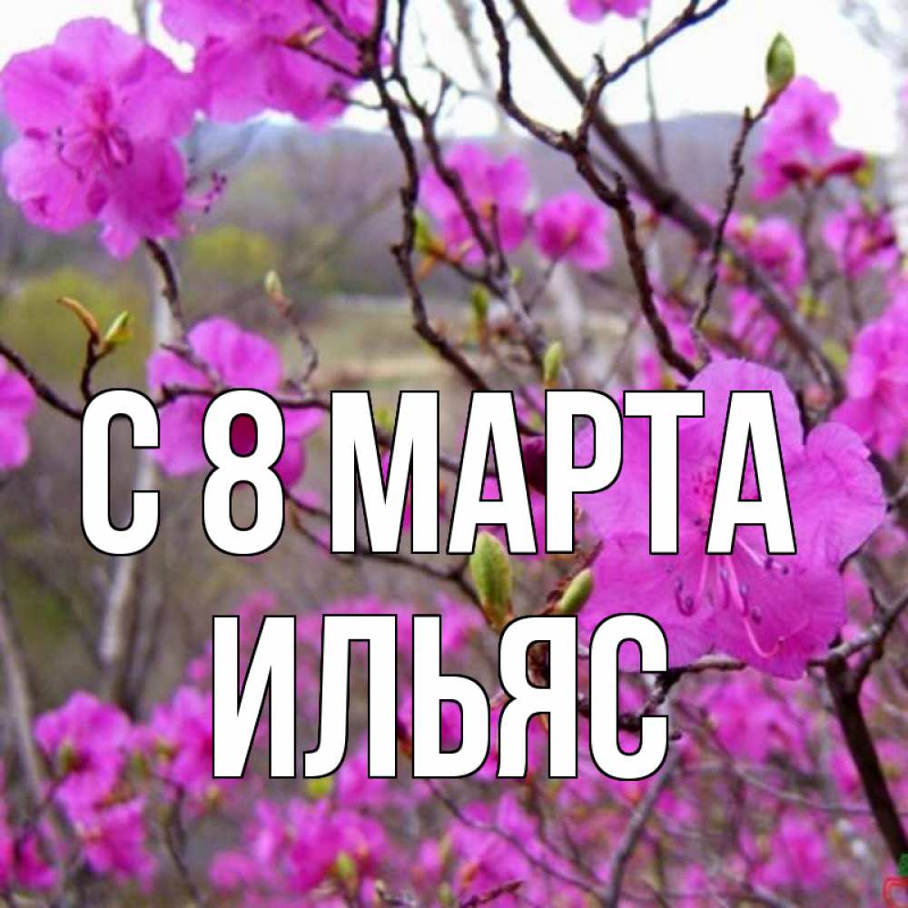 Открытка на каждый день с именем, Ильяс С 8 МАРТА международный женский день Прикольная открытка с пожеланием онлайн скачать бесплатно 