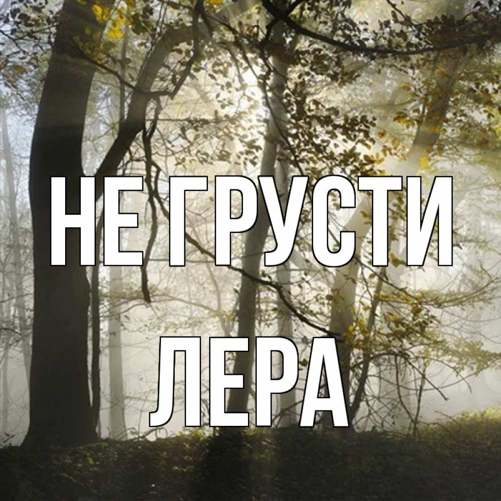 Открытка на каждый день с именем, Лера Не грусти лес и свет Прикольная открытка с пожеланием онлайн скачать бесплатно 