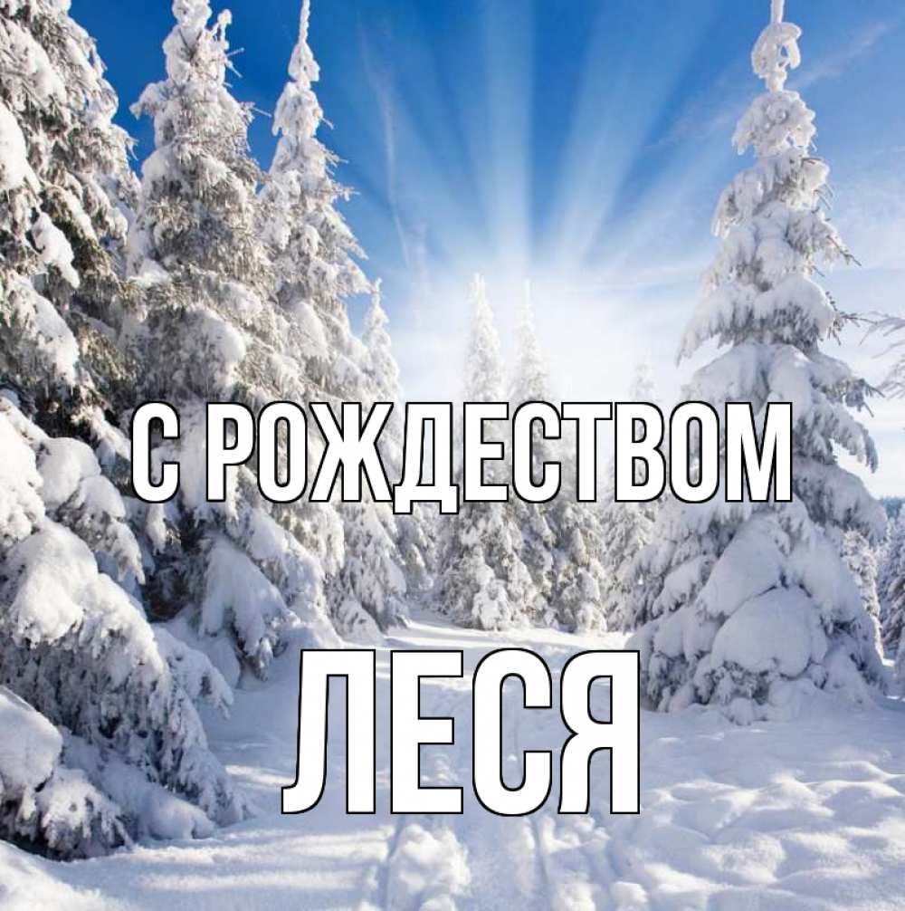Открытка на каждый день с именем, Леся С рождеством зима, лес Прикольная открытка с пожеланием онлайн скачать бесплатно 