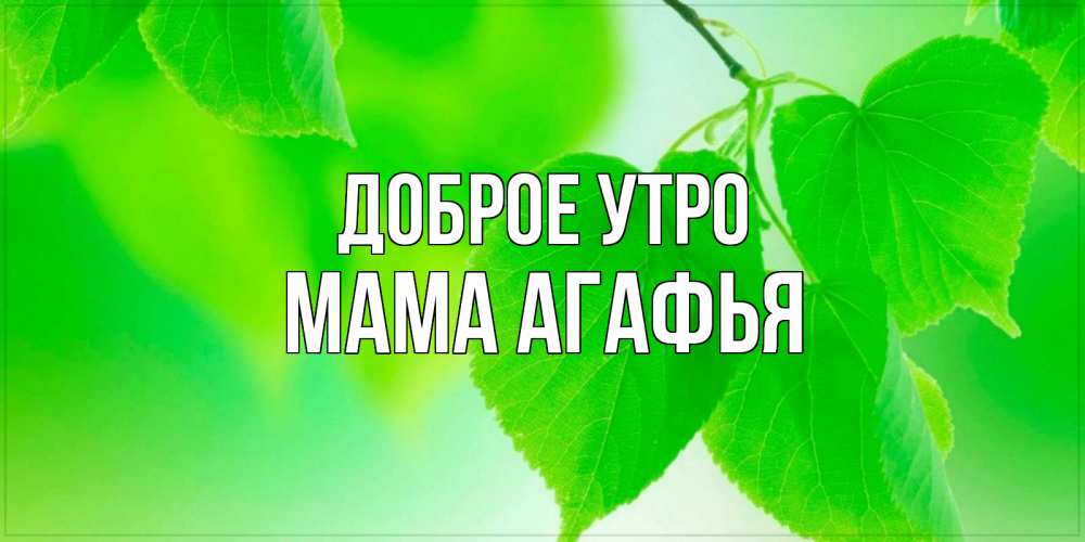 Открытка на каждый день с именем, Мама-Агафья Доброе утро доброе утро с березовыми листьями Прикольная открытка с пожеланием онлайн скачать бесплатно 